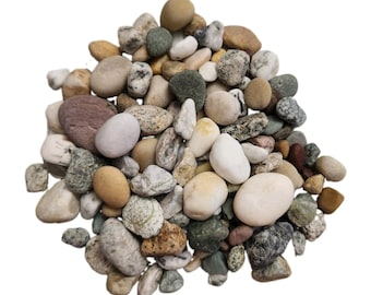 PNW Island Beach Rocks For Rock Tumbling Mix 3 Lbs Crafts Jewelry Terrariums