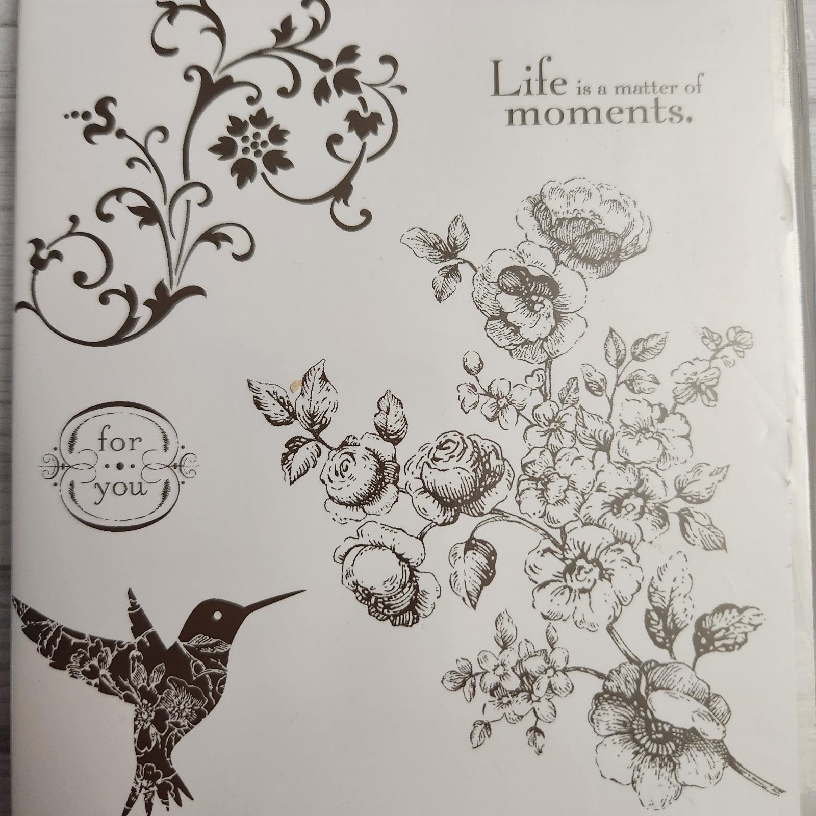 ハミングバード⟡.* hummingbird 2013 | SQUAL