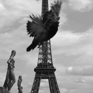 Eiffel Tower - Instant Digital Download, Wall Art, Home Decor, Office Decor