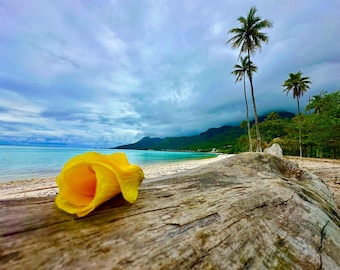 Tahiti - Instant Digital Download, Wall Art, Home Decor, Office Decor