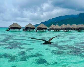 Tahiti - Instant Digital Download, Wall Art, Home Decor, Office Decor