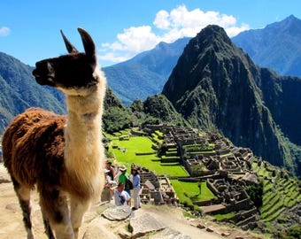 Machu Picchu - Instant Digital Download, Wall Art, Home Decor, Office Decor