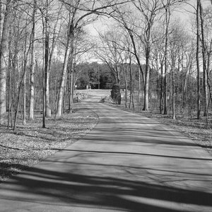 Virginia - Instant Digital Download, Wall Art, Home Decor, Office Decor