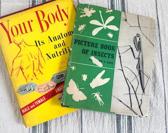 May include: Two vintage books: "Your Body" in yellow with red text and a diagram, and "Picture Book of Insects" in green with insect illustrations. Both books are on a striped fabric.
