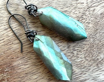 Luminosity Earrings Faceted Labradorite Marvels Cosmic Magical