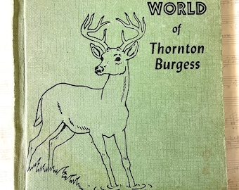 Thornton Burgess The Animal World Hardcover Bright Illustrations 1961 So CUTE