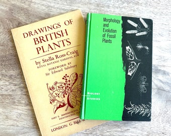 Pair of Vintage Botanical Books Paleobotany Fossils and British Plants Gorgeous Illustrations