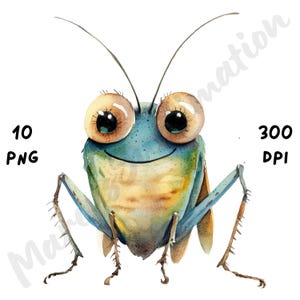 10 imágenes PNG de insectos peculiares, dibujos animados de insectos divertidos y extravagantes, sublimación de animales en acuarela, manualidades digitales imprimibles, descarga instantánea