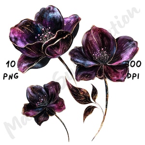 10 PNG Abstract Gothic Flower Clipart – Dark Fantasy Floral Illustrations for Sublimation, Stickers, Journals, Wall Art & Craft Projects