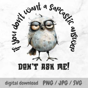 Pájaro atrevido PNG: Diseño de sublimación de pájaro loco y divertido con cita sarcástica para tazas, vasos, toallas, Cricut, manualidades digitales y pegatinas.