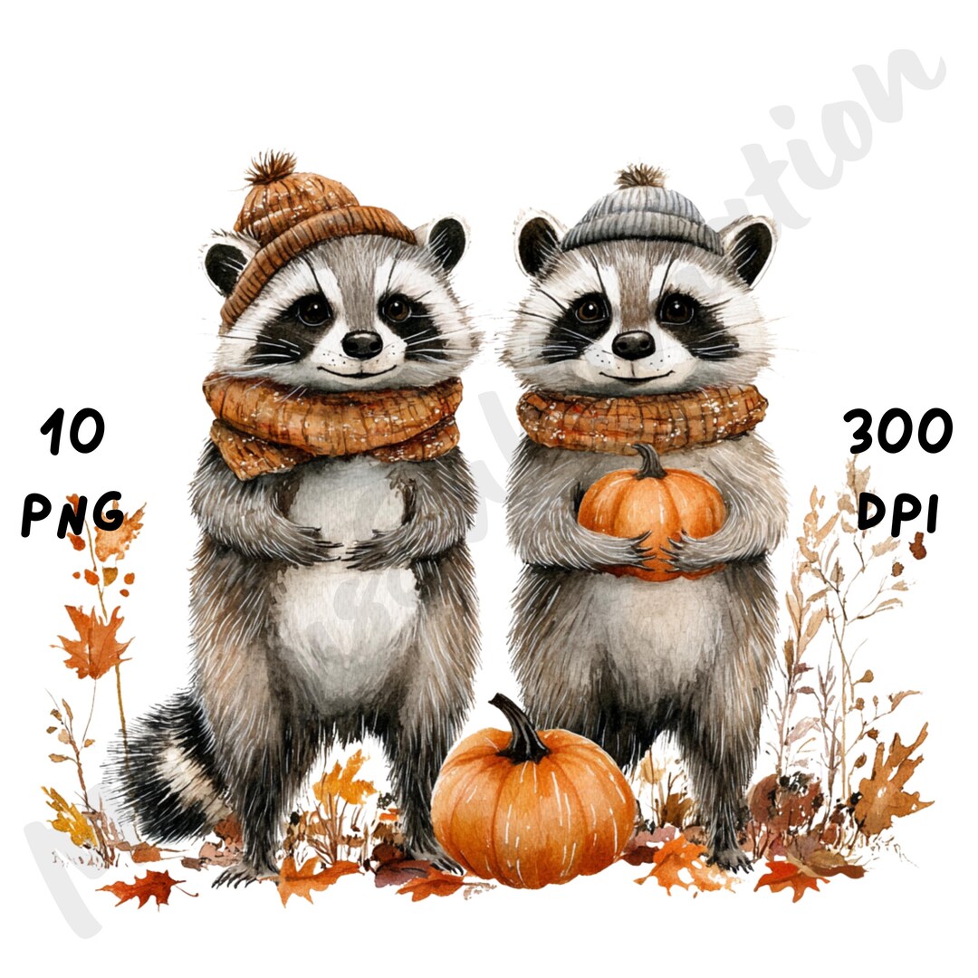 10 PNG Quirky Fall Raccoons Clipart, Whimsical Funny Autumn Animal ...