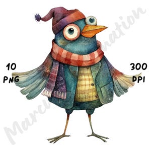 10 imágenes PNG de pájaros peculiares: dibujos animados de pájaros divertidos y extravagantes, imágenes PNG de pájaros atrevidos, sublimación de animales en acuarela para manualidades, descarga