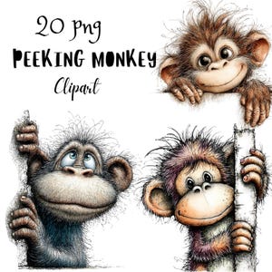May include: A collection of three cartoon monkey clip art images. The monkeys have expressive faces and are rendered in a detailed, whimsical style. The text "20 png PEEKING MONKEY Clipart" is at the top of the image.
