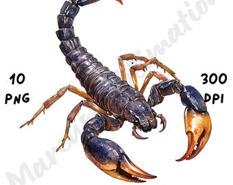 10 PNG Quirky Scorpion Clipart, Cartoon Whimsical Funny Animal, Watercolor Insect Clip Art, Printable Art Digital Craft, Instant Download