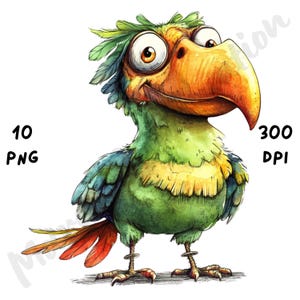 10 imágenes PNG de loros peculiares: dibujo de pájaro divertido y caprichoso, sublimación de loros atrevidos, arte animal en acuarela para manualidades, descarga digital