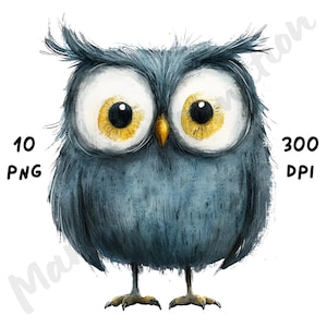 10 imágenes PNG de búhos peculiares: búhos de dibujos animados divertidos y caprichosos, imágenes prediseñadas de sublimación de aves de acuarela atrevidas para manualidades, descarga digital instantánea