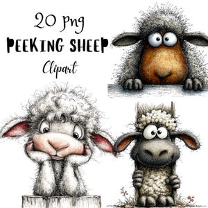 May include: A digital illustration featuring three cartoon sheep with expressive faces. The sheep are in various poses, with one peeking over a ledge, another resting its chin on its hands, and a third holding onto a wooden post. Text reads "20 png PEEKING SHEEP Clipart."