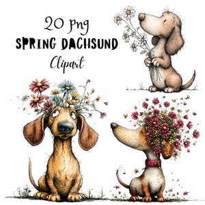 Floral Dachshund Whimsical Clipart, Funny Spring Animal Character PNG, Quirky Flowers Graphics (Commercial Use)