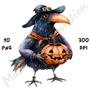 10 imágenes PNG de cuervos peculiares con disfraz, imágenes prediseñadas de acuarela de dibujos animados espeluznantes, sublimación divertida y caprichosa de cuervos de Halloween para manualidades de papel