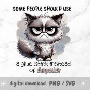 Some People Should Use a Glue Stick Instead of Chapstick PNG, Funny Sublimation Cat Design, Angry Cat SVG, Sarcastic Quote, Tumblers, Towel