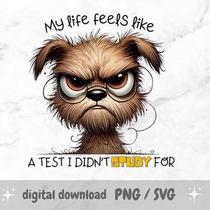 My Life Feels Like a Test I Didn't Study for PNG – Sarcastisch citaat sublimatieontwerp, Angry Sassy Dog, grappig gezegde, mok, beker, handdoek