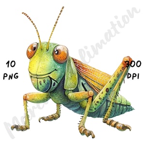 10 imágenes PNG de saltamontes peculiares, animales divertidos de dibujos animados, imágenes prediseñadas de insectos en acuarela, arte digital imprimible, descarga instantánea