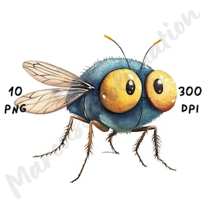 10 imágenes PNG de moscas peculiares: diseño animal divertido y caprichoso, arte de insectos en acuarela, imprimible para manualidades digitales, descarga instantánea