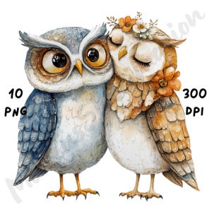 10 PNG peculiares imágenes prediseñadas de pareja de búhos en una boda, animales de dibujos animados caprichosos, imágenes prediseñadas románticas de acuarela para amantes de los pájaros para manualidades de papel, diario basura