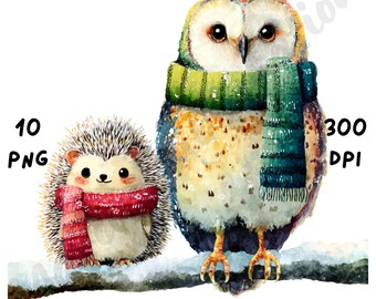 10 PNG Quirky Christmas Owl and Hedgehog Clipart, Funny Whimsical Animal Sublimation, Watercolor Cartoon Winter Animals with Xmas Ornaments