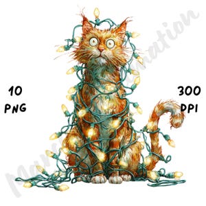 10 PNG schrullig Weihnachtskatze Clipart, wunderliche Wintertier Sublimation, Aquarell Cartoon Weihnachten Clip Art, niedliche Katze verhedderte Weihnachtsverzierungen