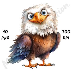 10 imágenes PNG de águilas extravagantes: águila de dibujos animados divertida y caprichosa, imágenes prediseñadas de sublimación de aves de acuarela atrevidas para manualidades, descarga digital