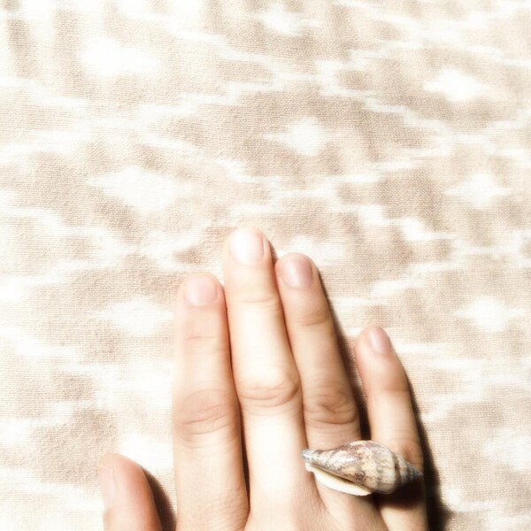 Seashell Ring Etsy