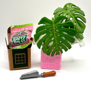 Miniverse Lifestyle Home - Monstera - Miniverse Monstera - Monstera Miniverse - Miniverse Monstera Plant