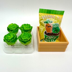 Miniverse Nature Series 2 - Lettuce - Miniverse Lettuce - Lettuce Miniverse - Miniverse Vegetables