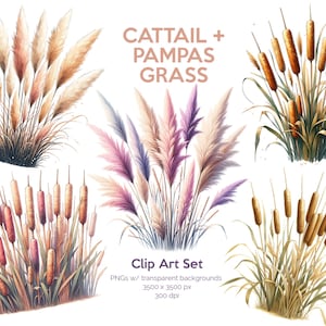 Quenouilles d'herbe des pampas PNG ensemble de cliparts | Téléchargement numérique par sublimation, roseau des marais, lot d'herbes sauvages, carnet de scrapbooking indésirable