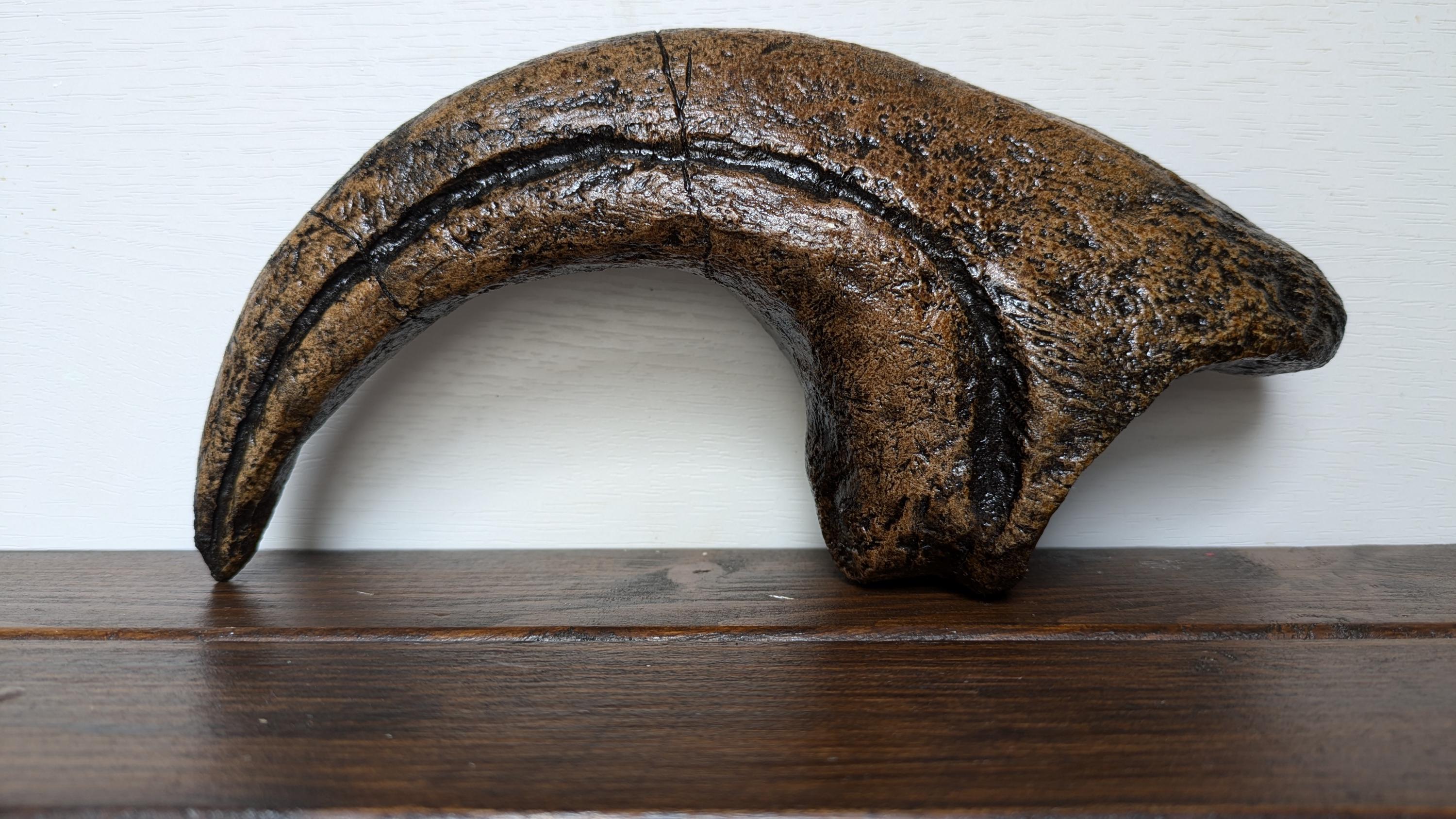 Velociraptor Claw Replica - Realistic Dinosaur Fossil Replica, Brown, Approx 15-20mm