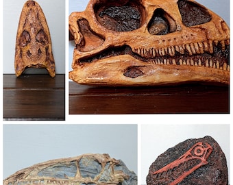Dinosaur Skull Relpicas | Pterosaur | Raptor | Coelophysis | Massospondylus