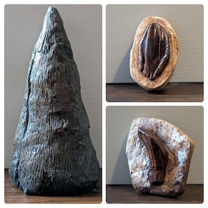 Iguanodon Dinosaur Replicas | Thumb Spike & Teeth