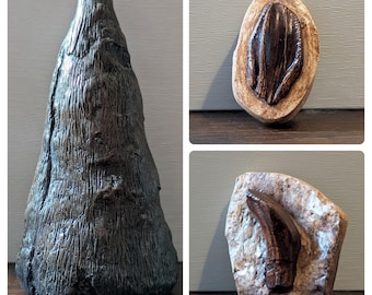Iguanodon Dinosaur Replicas | Thumb Spike & Teeth