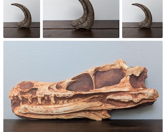 Velociraptor Mongoliensis Skull & Claw Replicas