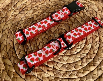 3/4" Strawberry Dog Collar