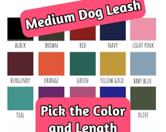 Solid Color Nylon Dog Leash | Black Metal Hardware, 3/4 inch