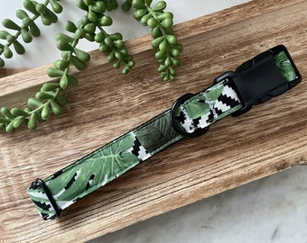 1" Monstera Plant Large Dog Collar