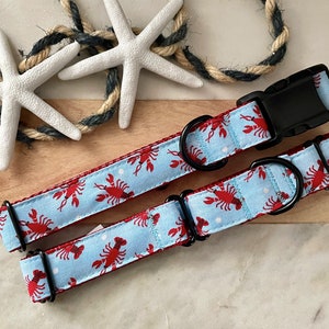 1&quot; Lobster Polka Dot Dog Collar