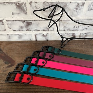 1&quot; Waterproof Biothane Dog Collar