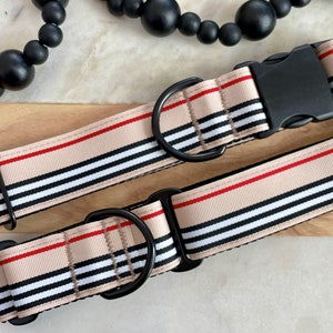 1.5&quot; Preppy Striped Wide Dog Collar | Wide Martingale Collar | Big Dog Collar