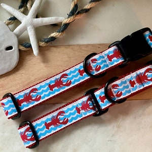 1&quot; Lobster Dog Collar