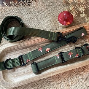 1" Mushroom Dog Collar