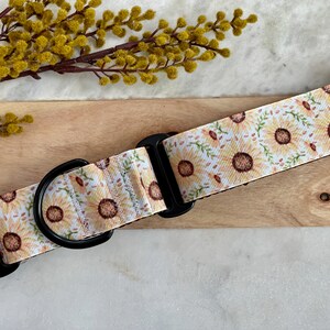 1.5" Sunflower Wide Dog Collar