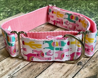 1.5" Llama Dog Collar, Martingale or Leash